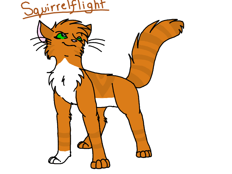 Squirrelflight bruh! She's boss B)