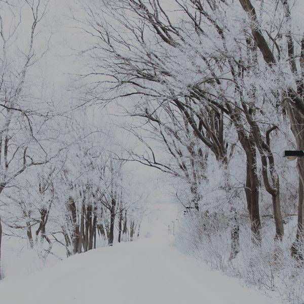 winter winter