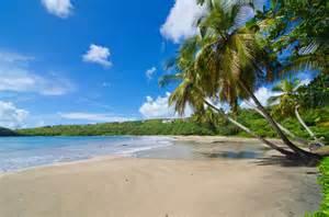 Beach House Beach House
