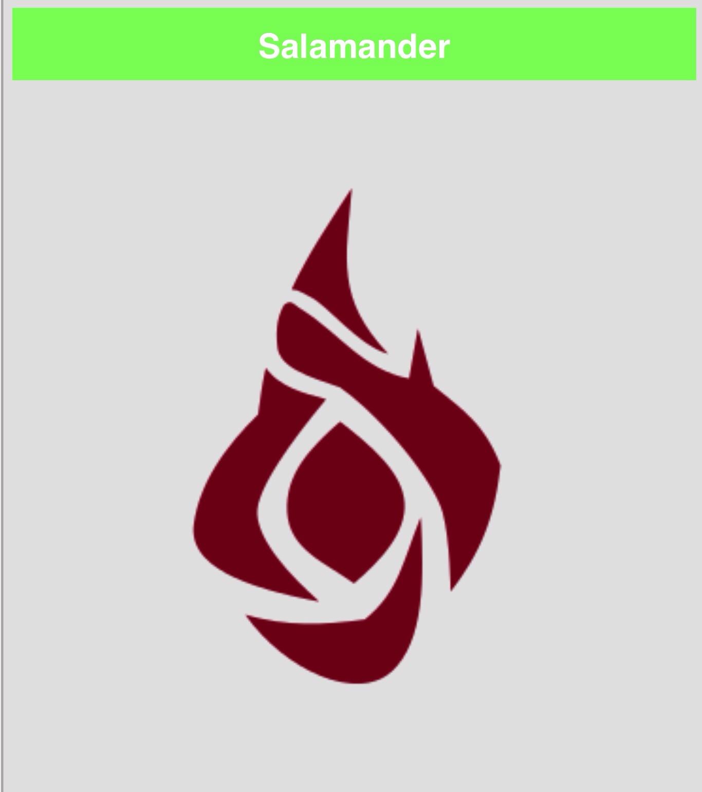 Salamander Salamander