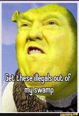 Shrek Trump