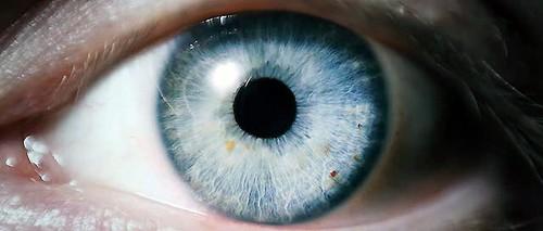 Light blue eyes Light blue eyes