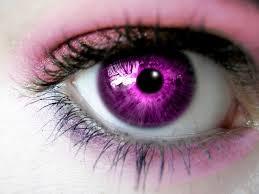 Violet Violet