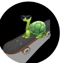 or this turtle on a skateboard