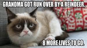 Grumpy Cat