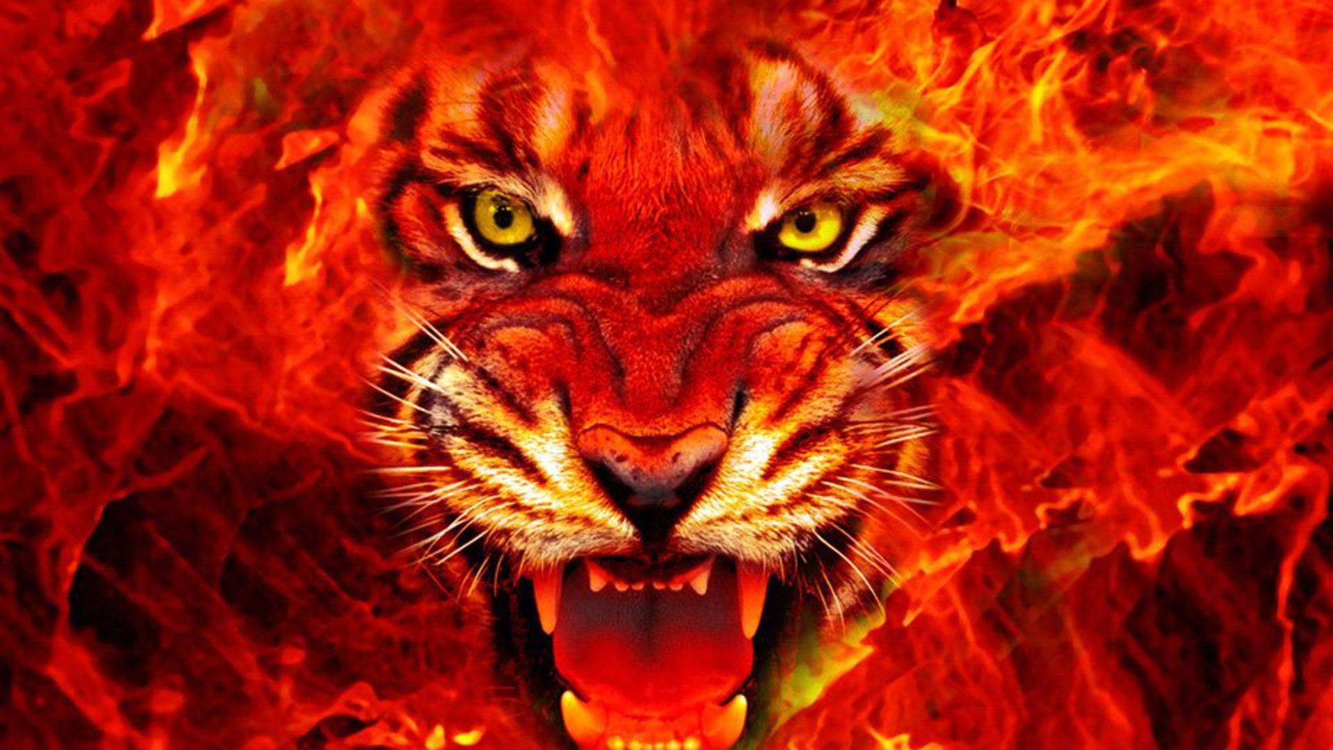 Fiery Tiger Fiery Tiger