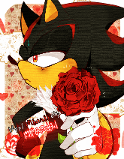 Shadow holding a rose