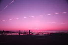 Pink Pink