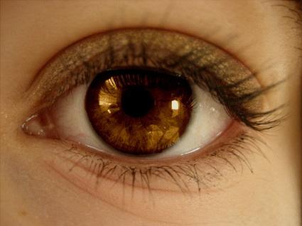 Brown Brown
