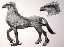 B) be a hippogriff (horse with wings front talons and feathers)