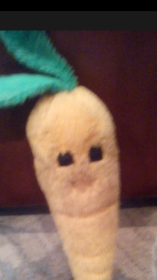 Mr.Carrot Mr.Carrot
