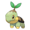 Turtwig (Sinnoh) Turtwig (Sinnoh)