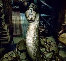 Nagini Nagini