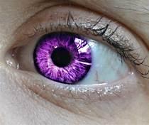 Violet Violet