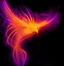 a Phoenix is fast and strong but it can be beaten by a Dragon,but it can come back to life and weaken the Dragon. choose wisely. a Phoenix is fast and strong but it can be beaten by a Dragon,but it can come back to life and weaken the Dragon. choose wisely.