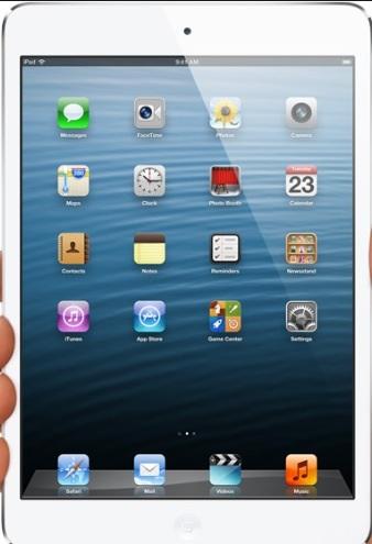 iPad iPad