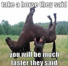 Horse Horse