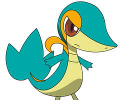 Pokemon Pokemon