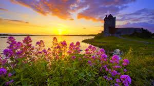 Beautiful pics in Life Beautiful pics in Life