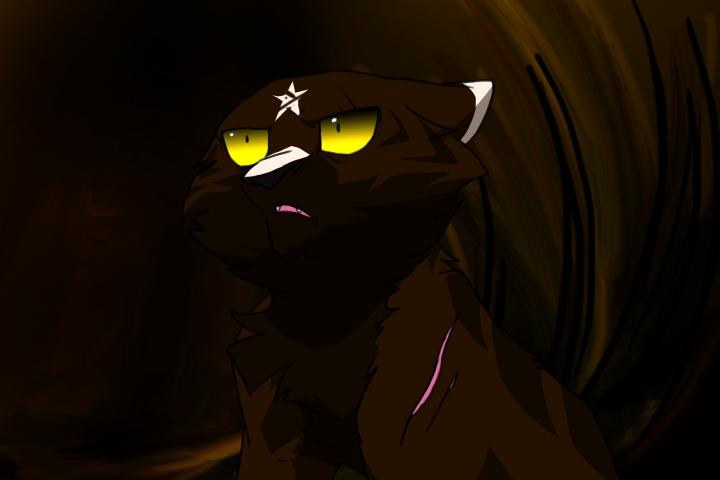 Raggedstar Raggedstar