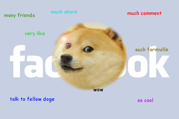 Doge Doge