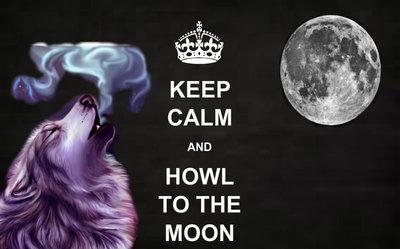 keep calm and howl to the moon keep calm and howl to the moon