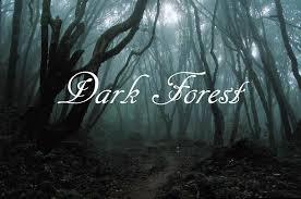 The Dark Forest!!!! >:) The Dark Forest!!!! >:)