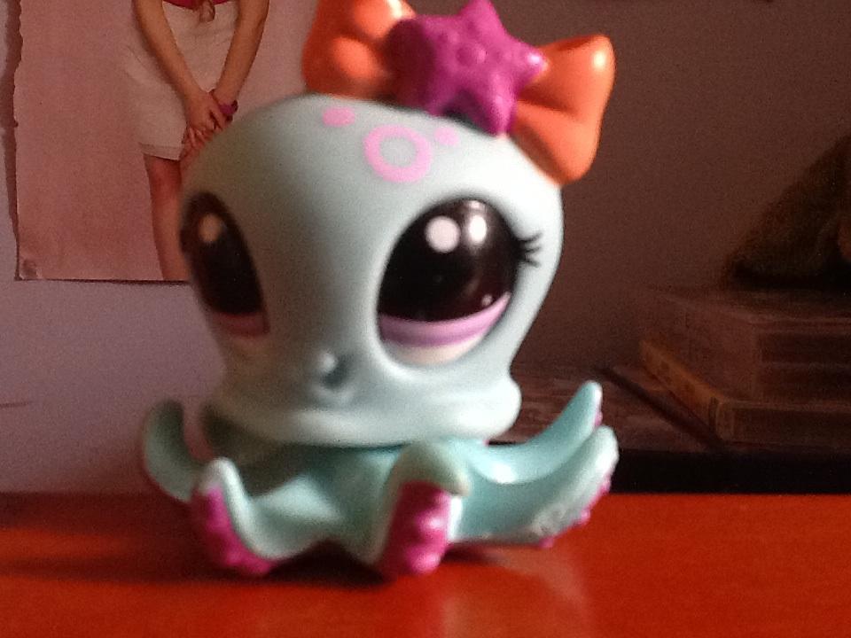 Octopus Octopus