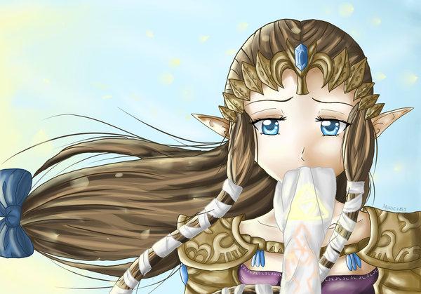 Princess Zelda Princess Zelda