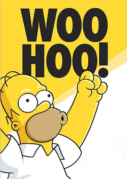 Homer Simpson Homer Simpson