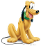 Pluto the dog