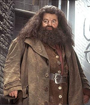 Rubeus Hagrid Rubeus Hagrid