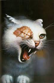 Brightheart Brightheart