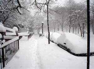 Blizzards Blizzards