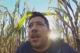 Field Of Screams Field Of Screams