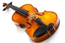 violin