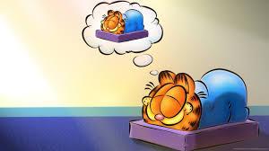 cats cats