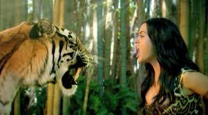 roar roar