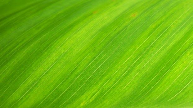 green green