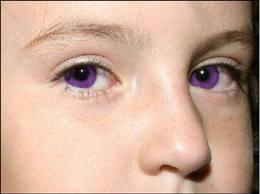 Purple Purple
