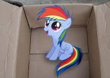 Because of My Little Dashie