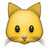Cat emoji Cat emoji