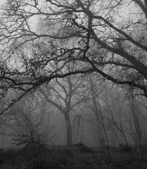 No way! i'd duke it out in the woods :P No way! i'd duke it out in the woods :P
