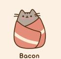 Bacon Pusheen