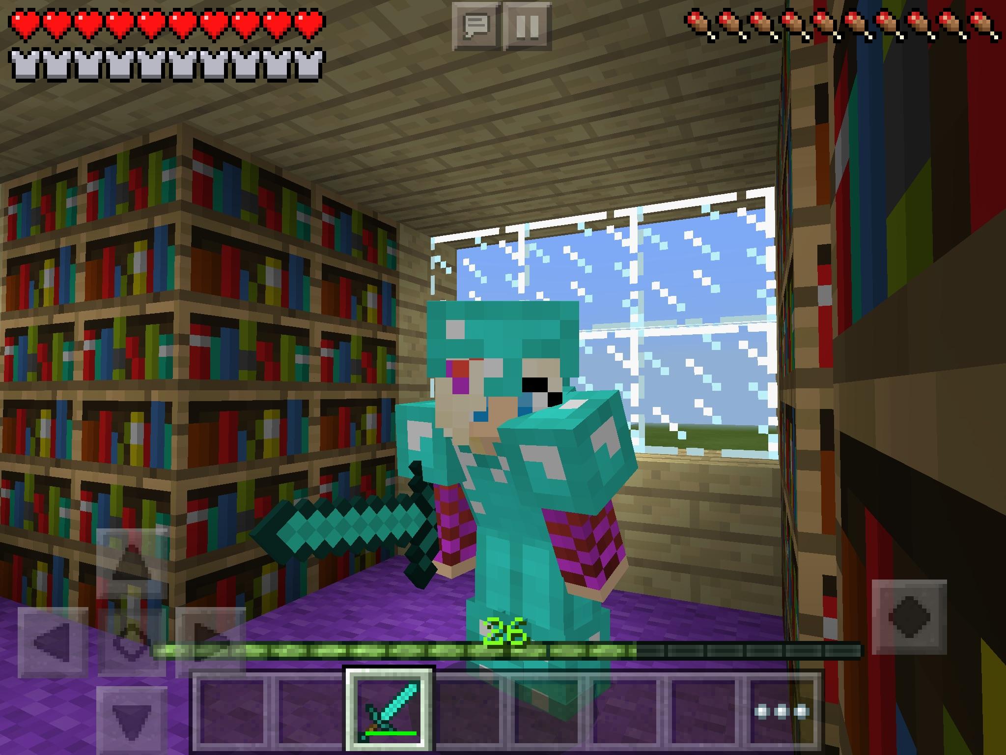 Minecraft me (PRO :D)