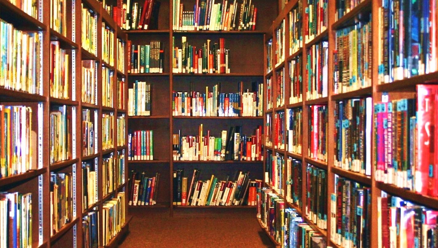 Access to all books (released before you've arrived on the island) Access to all books (released before you've arrived on the island)