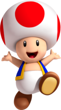 Toad