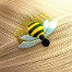 Bee miraculous