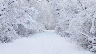 Snowy Snowy