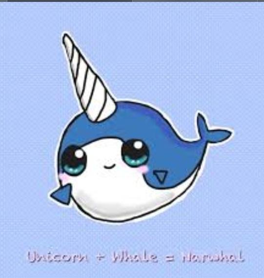 Narwhals